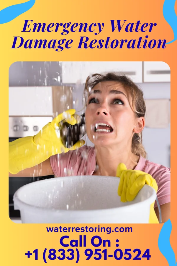 Emergency Water Damage Restoration in LaSalle, IL